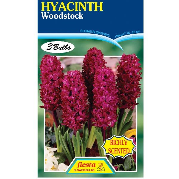 Hyacinth Woodstock